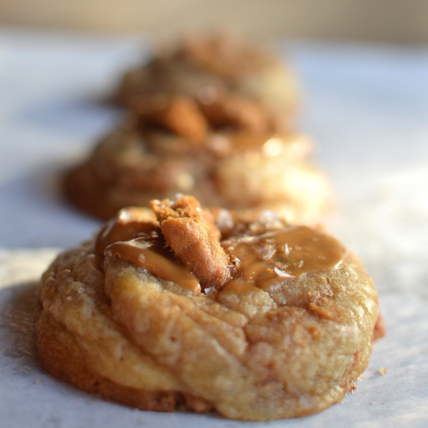 (1 Dozen) Biscoff Cookie Butter Cookie