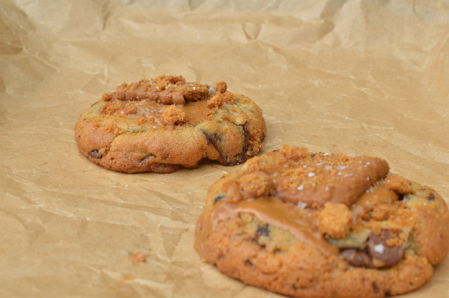 Brown Butter Chocolate Biscoff Cookie