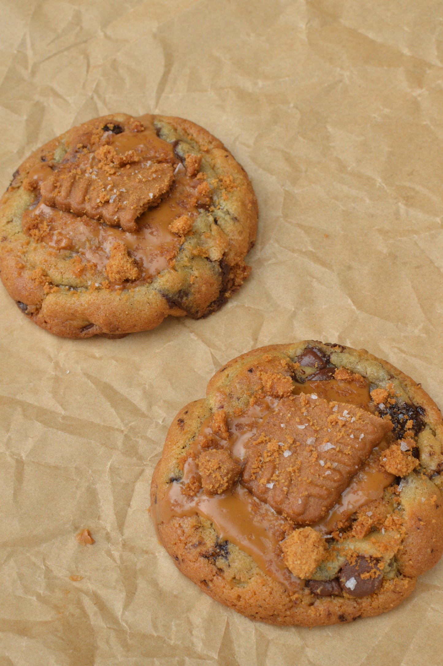 Brown Butter Chocolate Biscoff Cookie