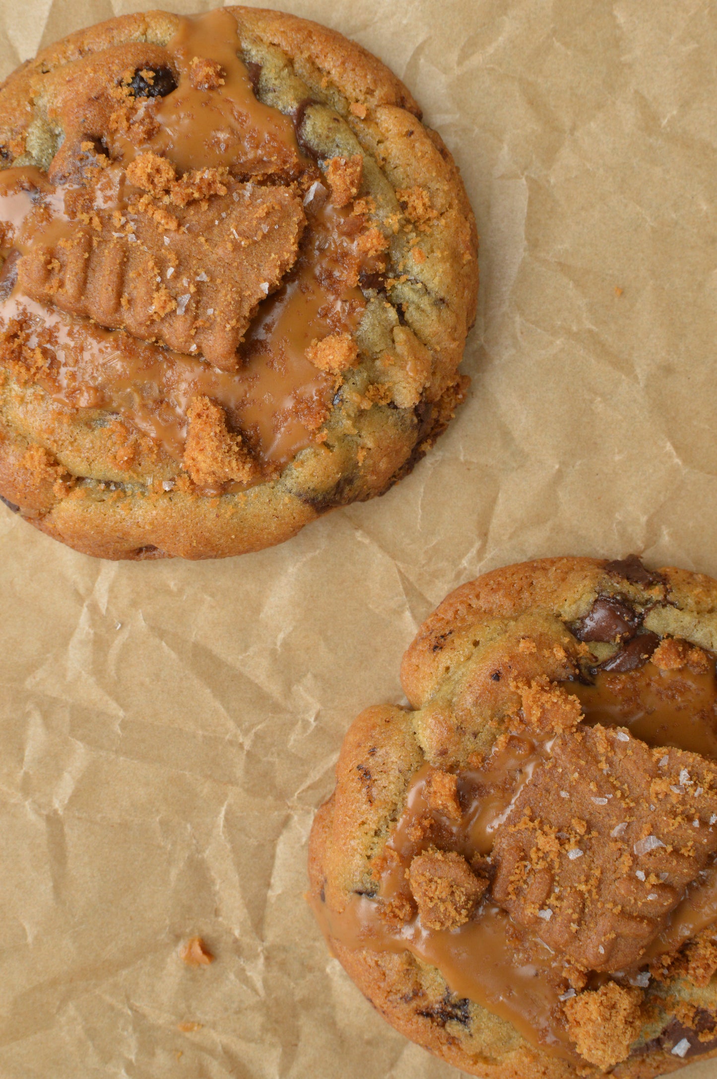 Brown Butter Chocolate Biscoff Cookie