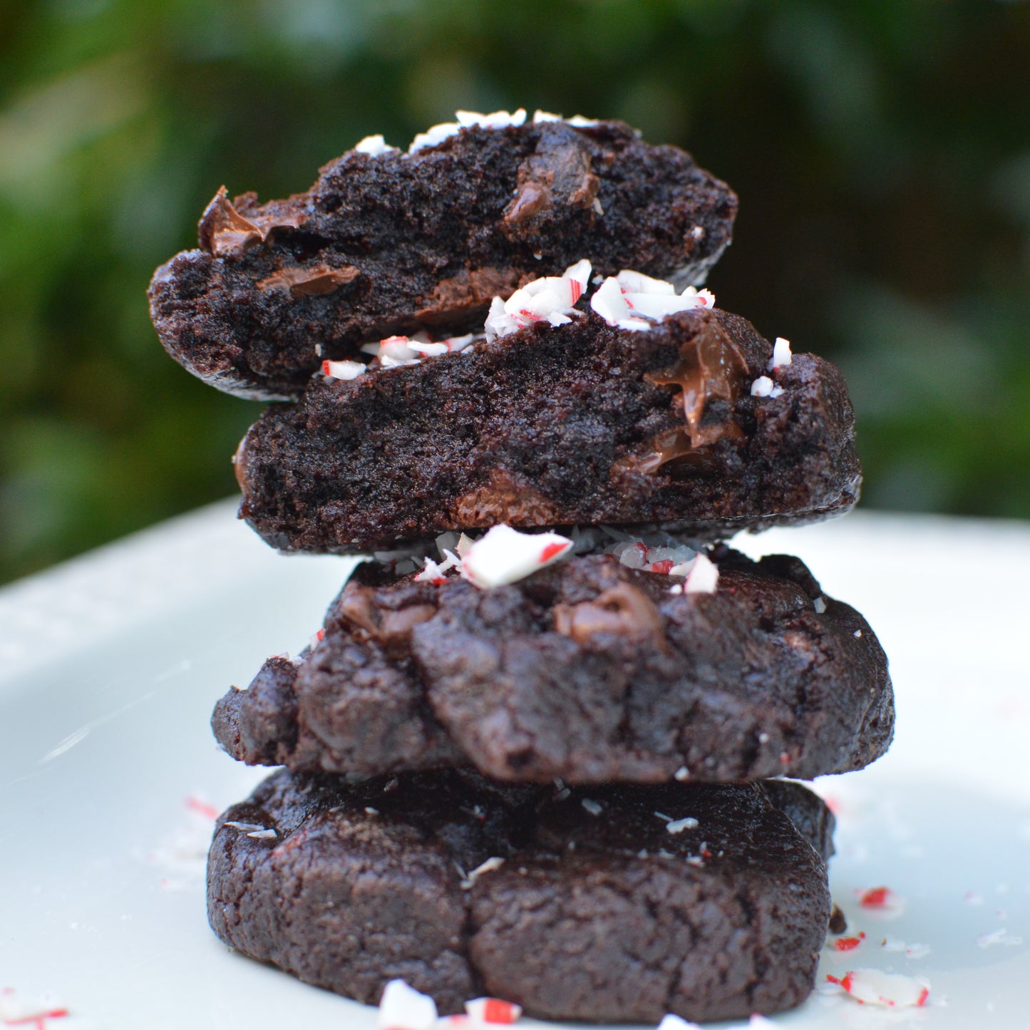 Holiday Cookie Box (4 Flavors - 1 Dozen)