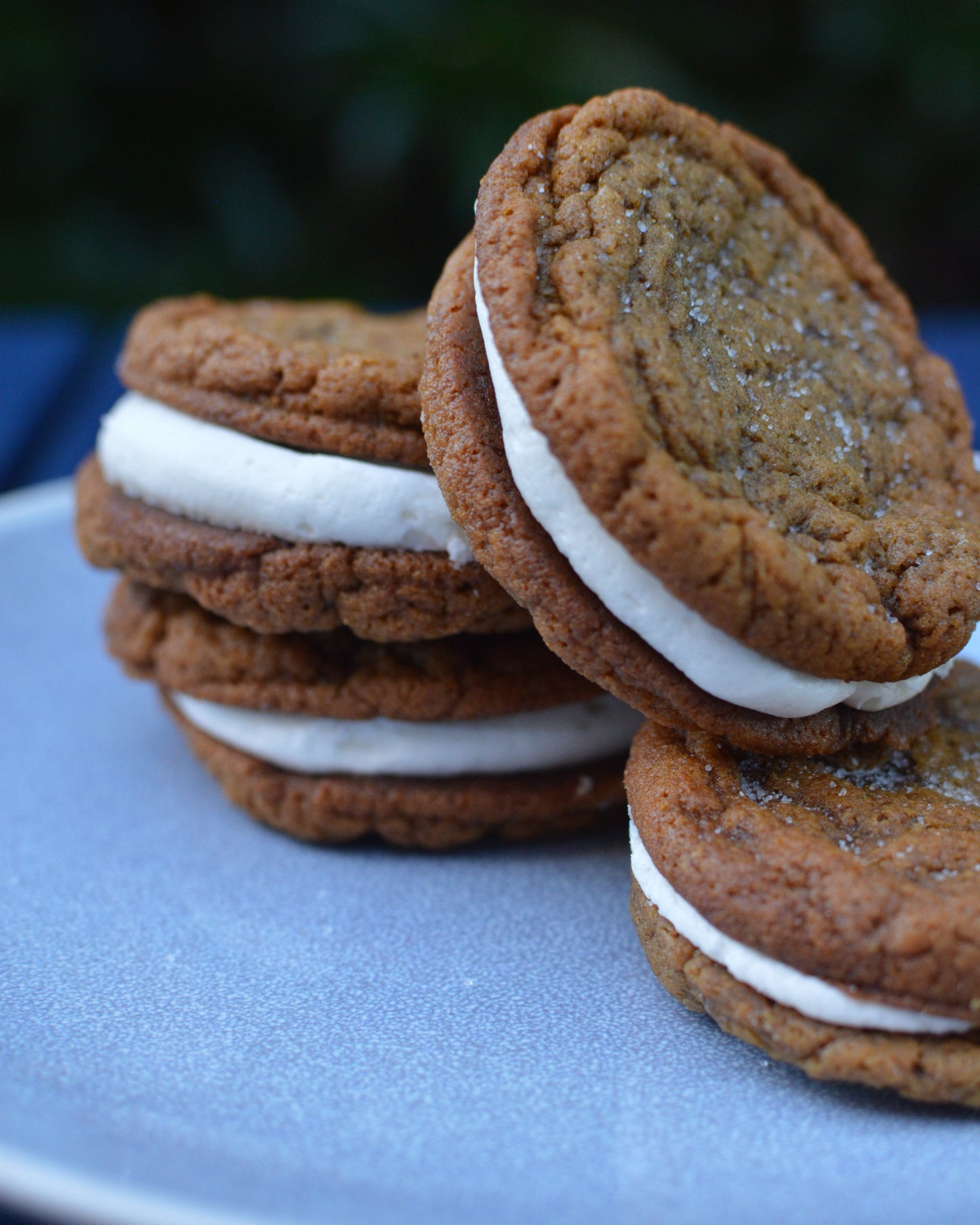 Ginger Molasses Cookie Sandwich