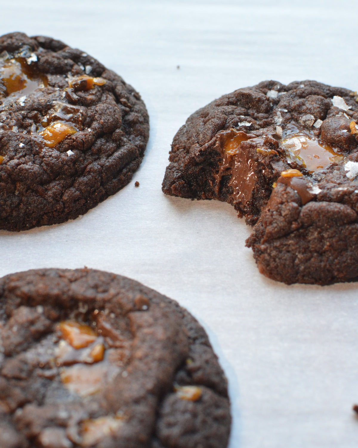 Fall Cookie Box (1 Dozen)